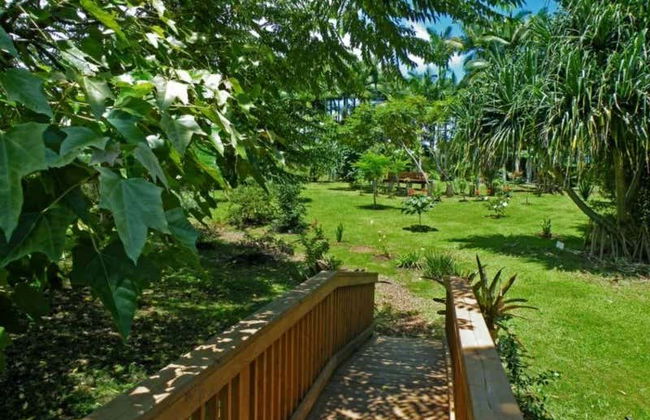 Umauma River Kayaking & Swimming - Photo 6