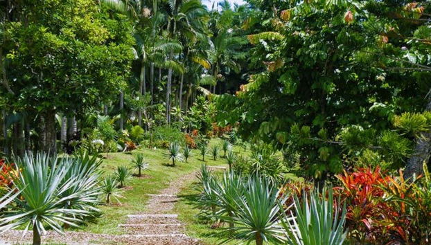 Kayak y paddle surf en el río Umauma - Foto 3