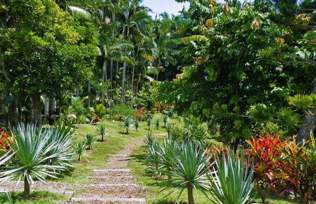 Umauma River Kayaking & Swimming - Photo 3