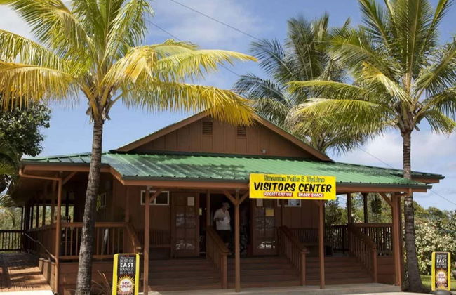 Umauma River Kayaking & Swimming - Photo 5