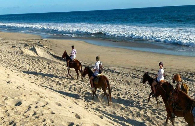 Passeio a cavalo ao pôr do sol na praia de Puerto Suelo - Tour noturno - Foto 3