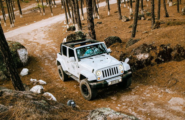 Creel Forest Jeep Tour - Photo 5