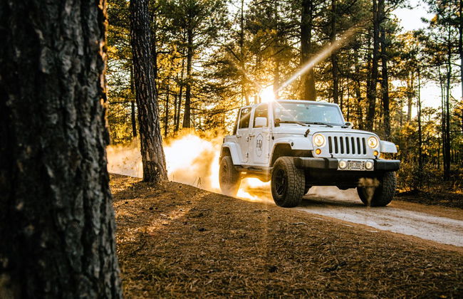Creel Forest Jeep Tour - Photo 4
