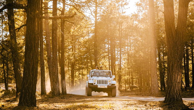 Tour de 4x4 pelos arredores de Creel - Foto 3