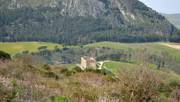 Sicily: Skip-the-line Entry Ticket to Segesta Archeological Park & Shuttle Service - Photo 4