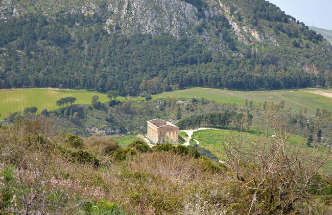 Sicilia: Biglietto salta fila per il Parco Archeologico di Segesta e servizio navetta - Foto 4