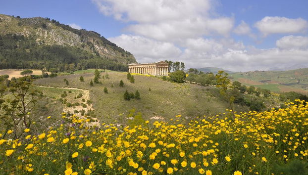 Sicily: Skip-the-line Entry Ticket to Segesta Archeological Park & Shuttle Service - Photo 5