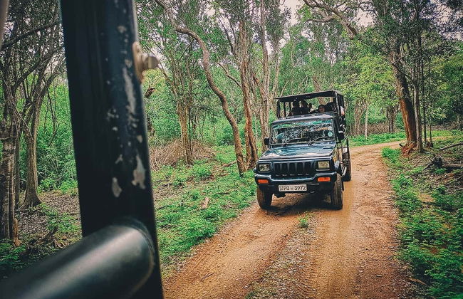 Safari privado por el Parque Nacional Yala - Foto 2