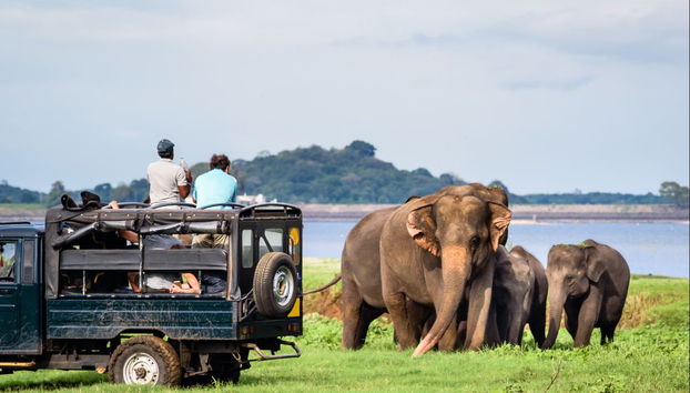 Private Yala National Park Safari - Photo 2
