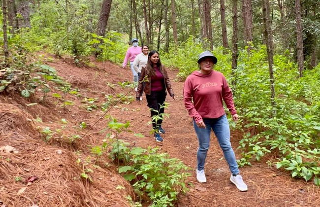 Excursión de día entero a San José del Pacífico - Foto 5