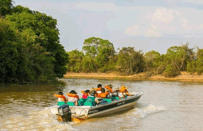 Safári pelo Pantanal - Foto 6
