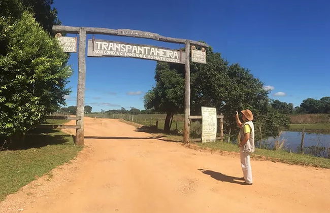 Safári pelo Pantanal - Foto 7