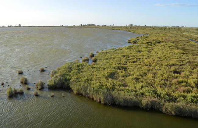 Tour por la Casa de Fusta y la laguna de la Encanyissada - Foto 6