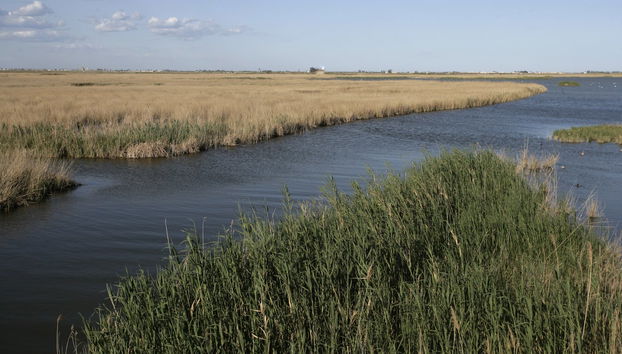 Tour por la Casa de Fusta y la laguna de la Encanyissada - Foto 4