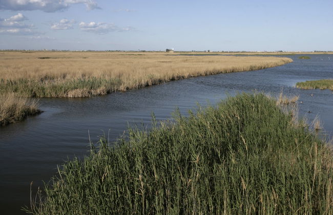 Tour por la Casa de Fusta y la laguna de la Encanyissada - Foto 4