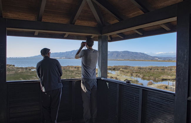 Tour por la Casa de Fusta y la laguna de la Encanyissada - Foto 3