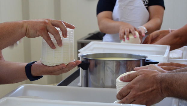 Taller de queso en Los Navalucillos - Foto 5