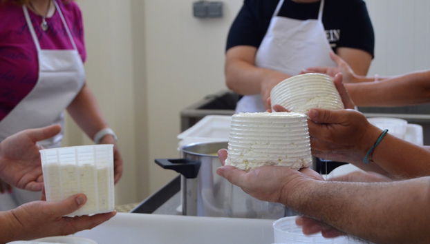 Taller de queso en Los Navalucillos - Foto 2