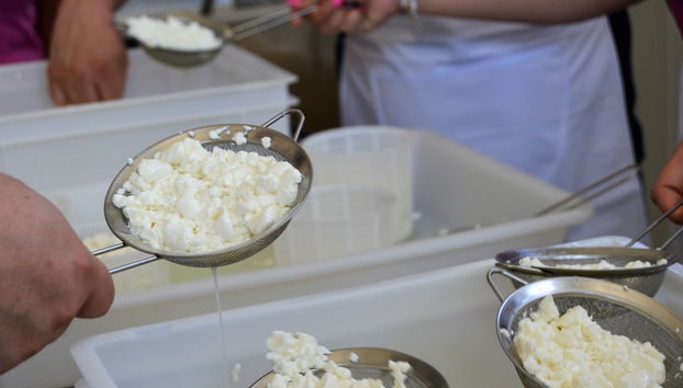 Taller de queso en Los Navalucillos - Foto 3