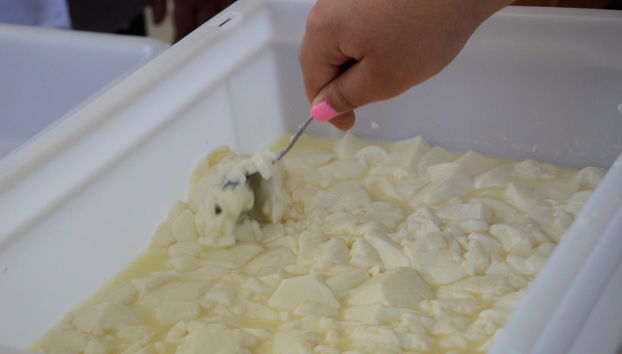 Taller de queso en Los Navalucillos - Foto 4
