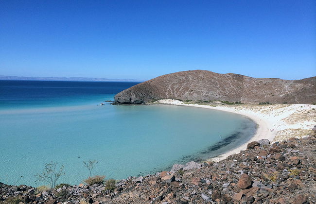 Tour de Playas y Manglares - Foto 6