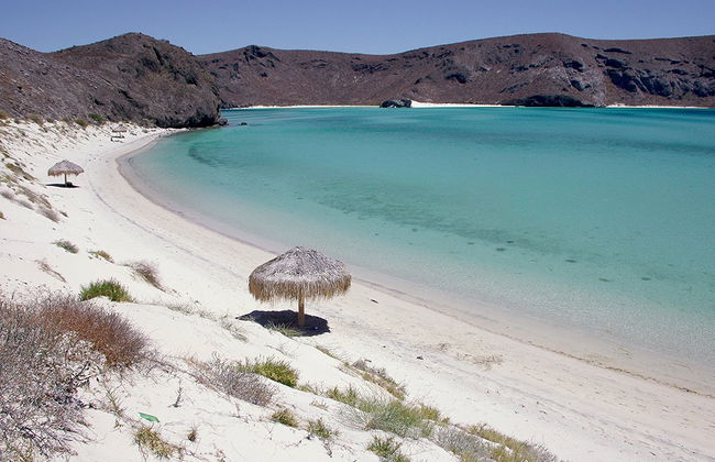 Tour de Playas y Manglares - Foto 2