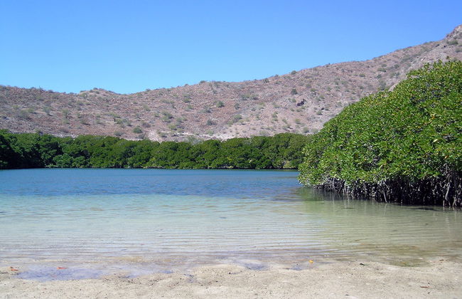 Tour de Playas y Manglares - Foto 4