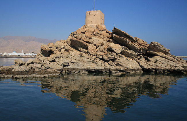 Excursión de un día completo a Wahiba Sands - Foto 4
