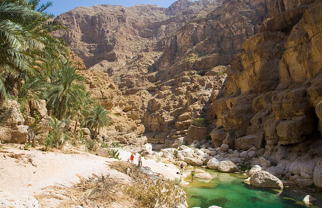 Excursión de un día completo a Wahiba Sands - Foto 5