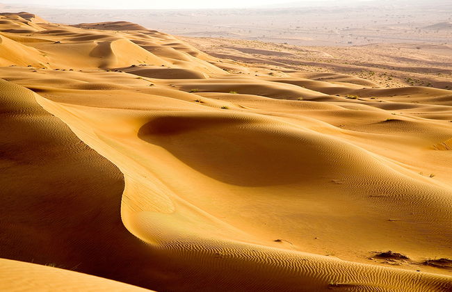 Excursión de un día completo a Wahiba Sands - Foto 2