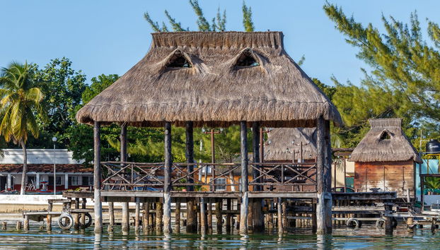 Avistamiento de delfines en Isla Aguada - Foto 3