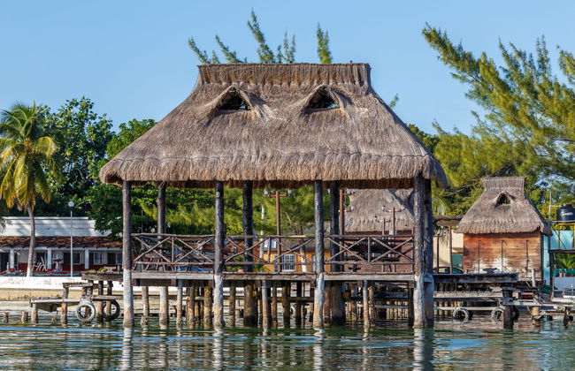 Avistamiento de delfines en Isla Aguada - Foto 3