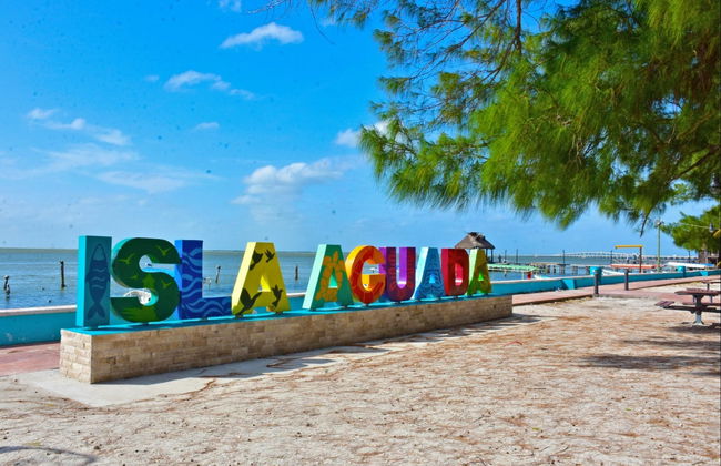 Avistamiento de delfines en Isla Aguada - Foto 4