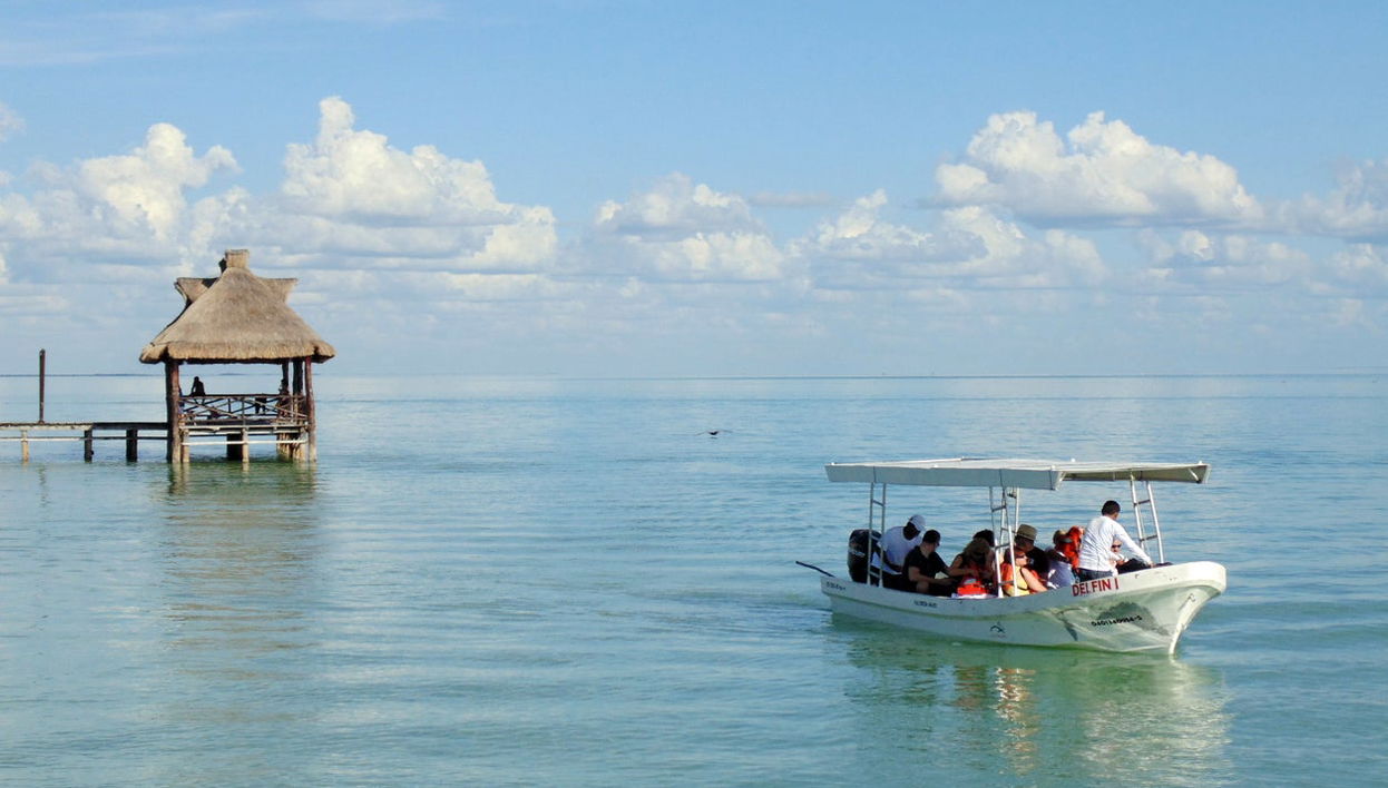 Avistamiento de delfines en Isla Aguada - Foto 1