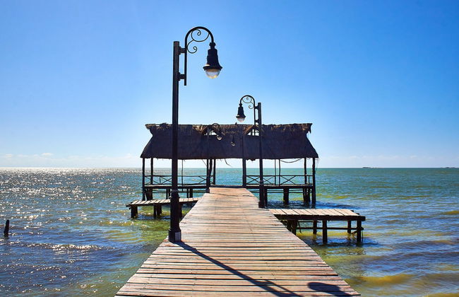 Avistamiento de delfines en Isla Aguada - Foto 7