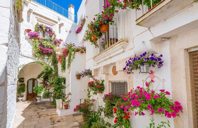 Tour dei borghi della Valle d'Itria - Foto 6