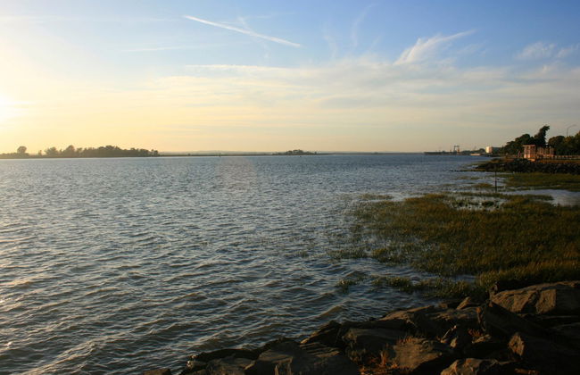 Balade en bateau dans l'estuaire de Huelva + Dégustation de gambas - Photo 6