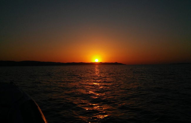 Hyères Bay Cruise - Photo 7