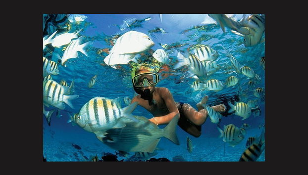 Tulum & Xel-Há Day Trip - Foto 2