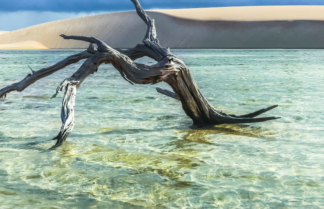 Trilha privada pelas lagoas Azul e Bonita - Foto 8