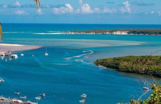 Excursión privada a Barra de San Miguel + Playas del Francés y Gunga - Foto 8