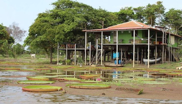 Tour pelo canal do Jari - Foto 3