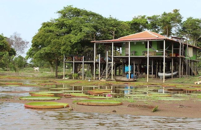 Tour pelo canal do Jari - Foto 3