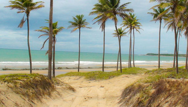 Excursão à praia de Lagoinha - Foto 2