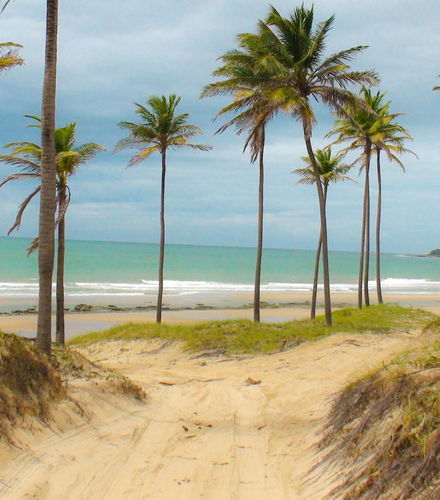 Foto de Excursión a la playa Lagoinha