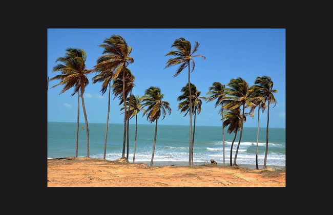 Excursión a la playa Lagoinha - Foto 4