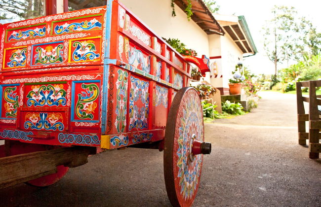 Excursión a la Hacienda Doka, Grecia y Sarchí - Foto 1