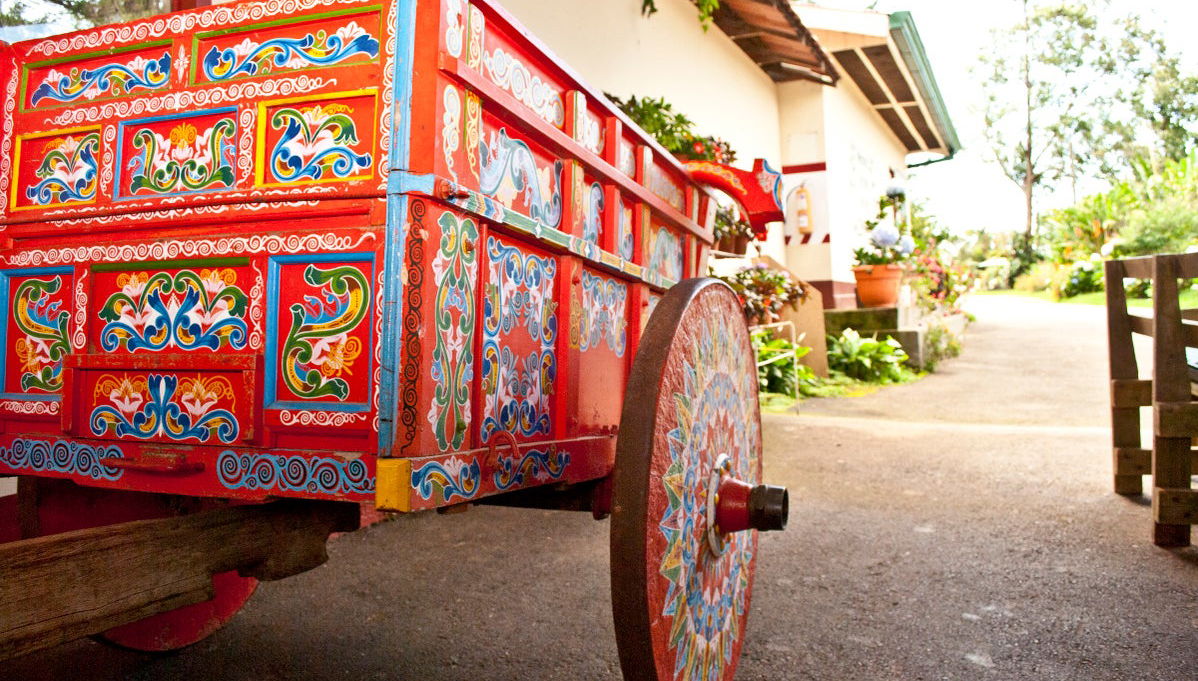 Excursión a la Hacienda Doka, Grecia y Sarchí - Foto 1