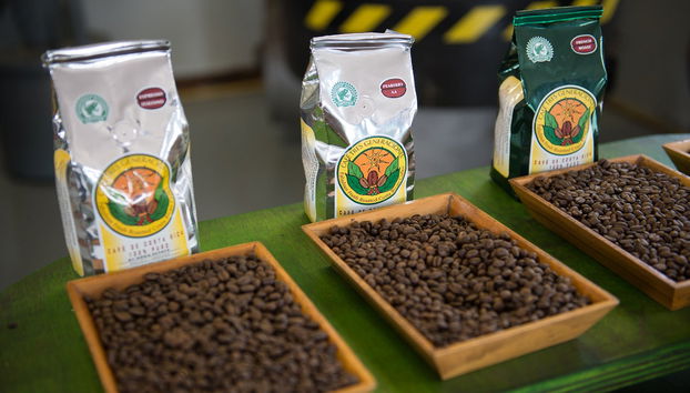 Excursión a la Hacienda Doka, Grecia y Sarchí - Foto 3