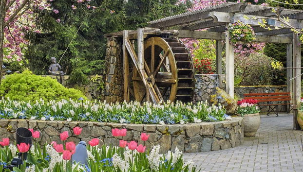 Butchart Gardens Tour - Foto 2